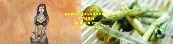 тгк Алзамай