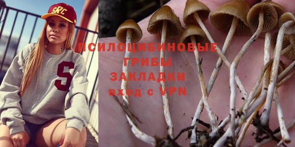 герыч Алексин
