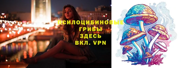 прущие крисы Абинск