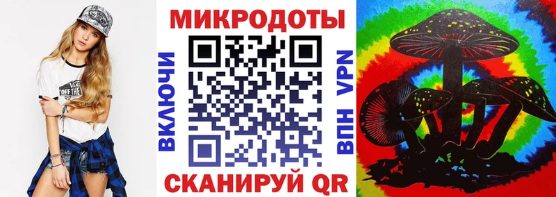 купить   Власиха  Галлюциногенные грибы Magic Shrooms 